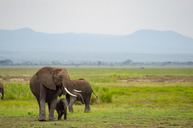 Similar image 20155243