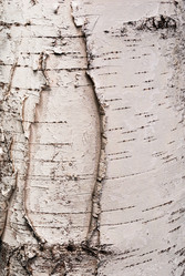 Similar image 20156025