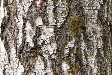 Similar image 20156033