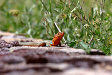 Similar image 20160269