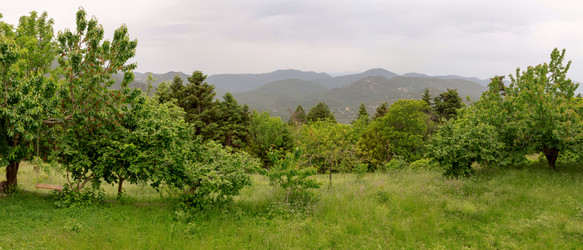 Similar image 20160271