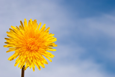 Similar image 20155977