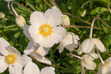 Similar image 20155986