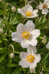 Similar image 20155990