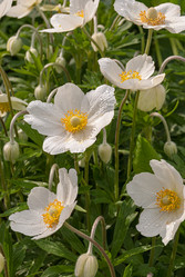 Similar image 20155994