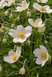 Similar image 20155998