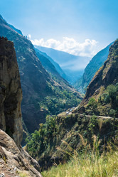 Similar image 20157737