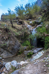 Similar image 20157784