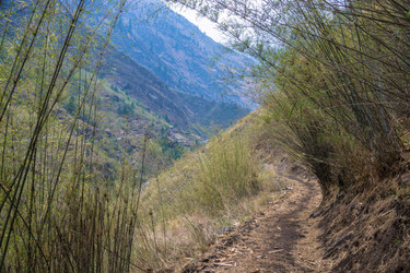 Similar image 20157804