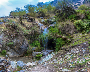 Similar image 20157796