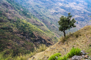 Similar image 20157807