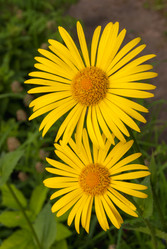 Similar image 20156045