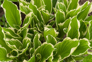 Similar image 20156032