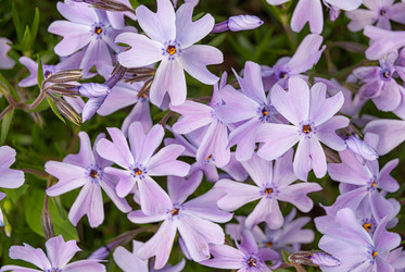 Similar image 20156044