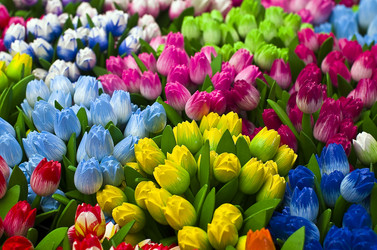 Similar image 20157725