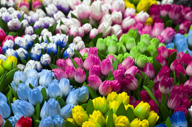 Similar image 20157726