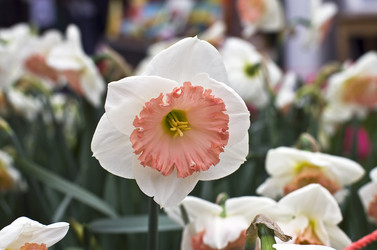 Similar image 20157733