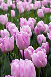 Similar image 20157735