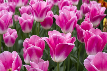 Similar image 20157752