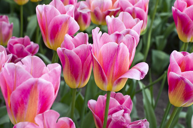 Similar image 20157754