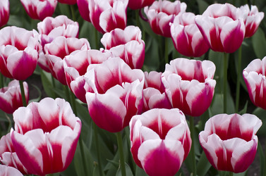 Similar image 20157742