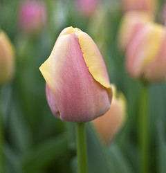 Similar image 20157744