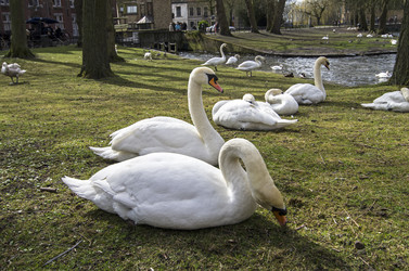 Similar image 20157749