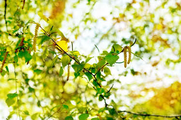 Similar image 20155937