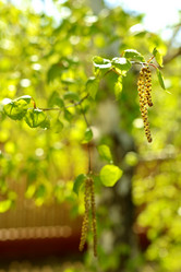 Similar image 20155948