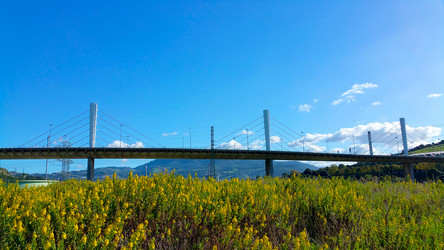 Similar image 20155955