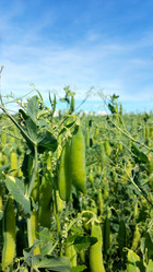 Similar image 20155961