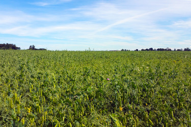 Similar image 20155964