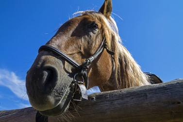 Similar image 20157762