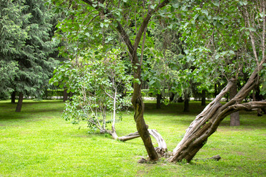 Similar image 20155930