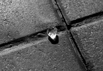 Similar image 20160877