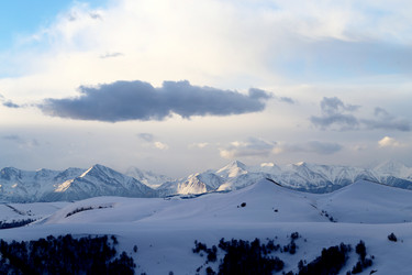 Similar image 20160882