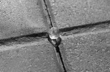 Similar image 20161018