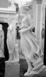 Similar image 20161020