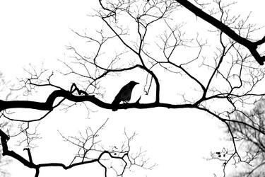 Similar image 20161040