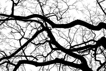 Similar image 20161084