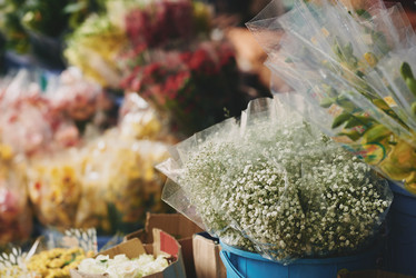 Similar image 20157560