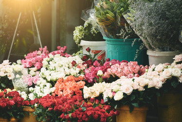 Similar image 20157566