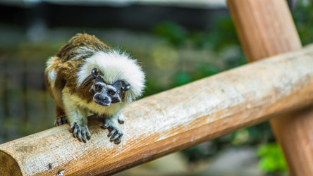 Similar image 20160148