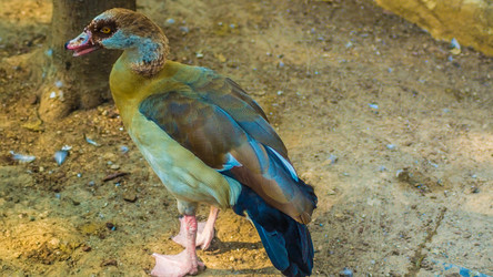 Similar image 20160155