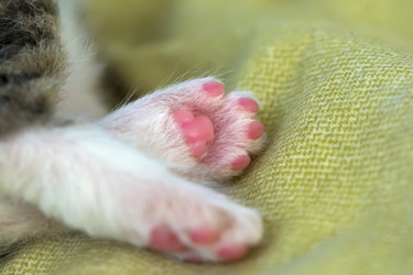 Similar image 20157593