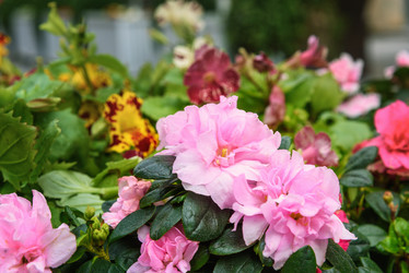 Similar image 20157616