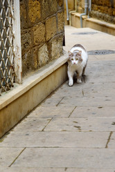 Similar image 20157620