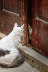 Similar image 20157621