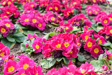 Similar image 20157639