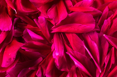 Similar image 20158059